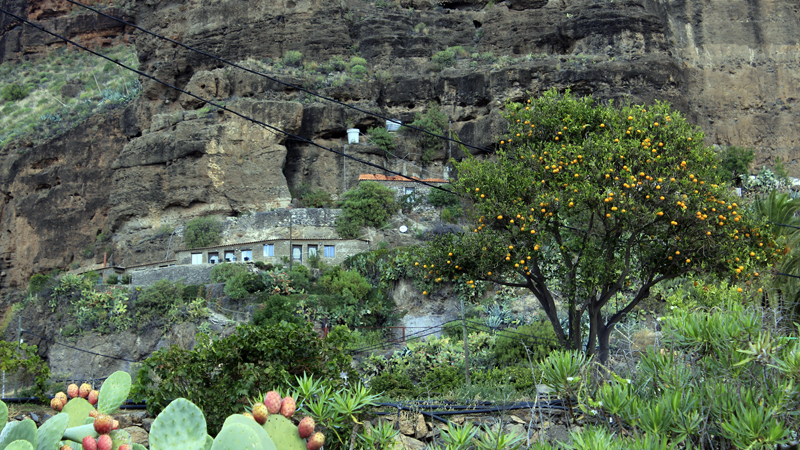 2016-11-07_142849 gran-canaria-2016.jpg - H�hlenwohnungen in Candelaria